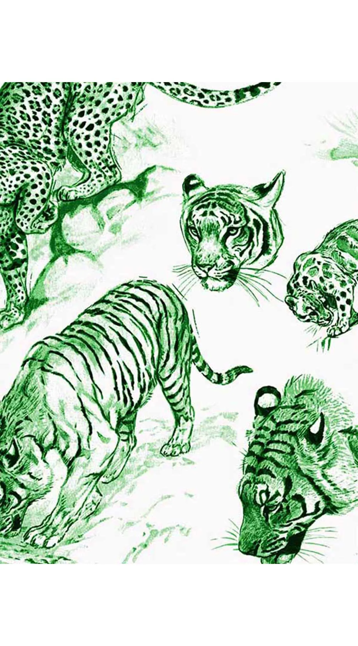 Aster Dress Shirt Collar 3/4 Sleeve Midi Length Cotton Musola (Tiger Toile Small)
