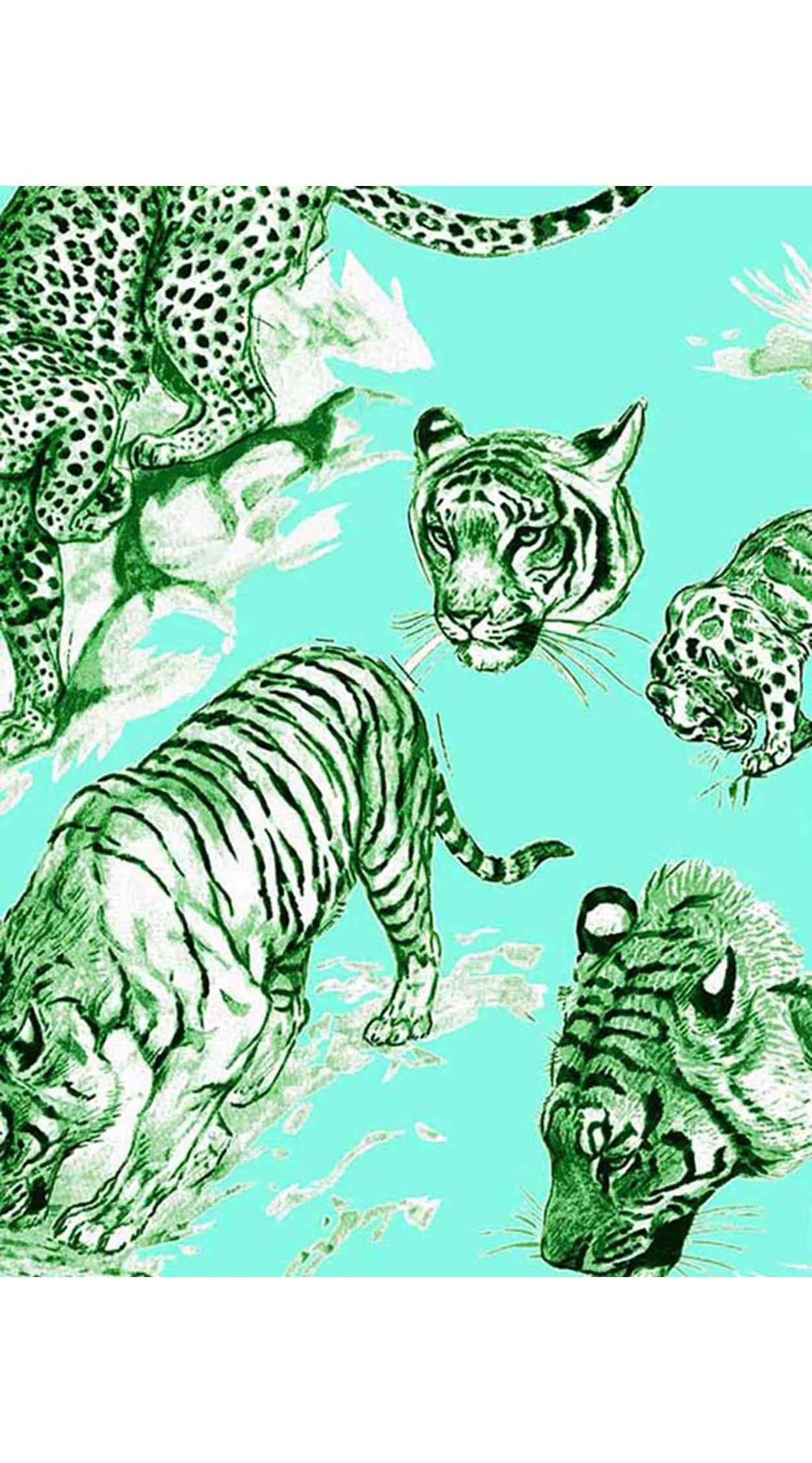 Aster Dress Shirt Collar 3/4 Sleeve Midi Length Cotton Musola (Tiger Toile Small)