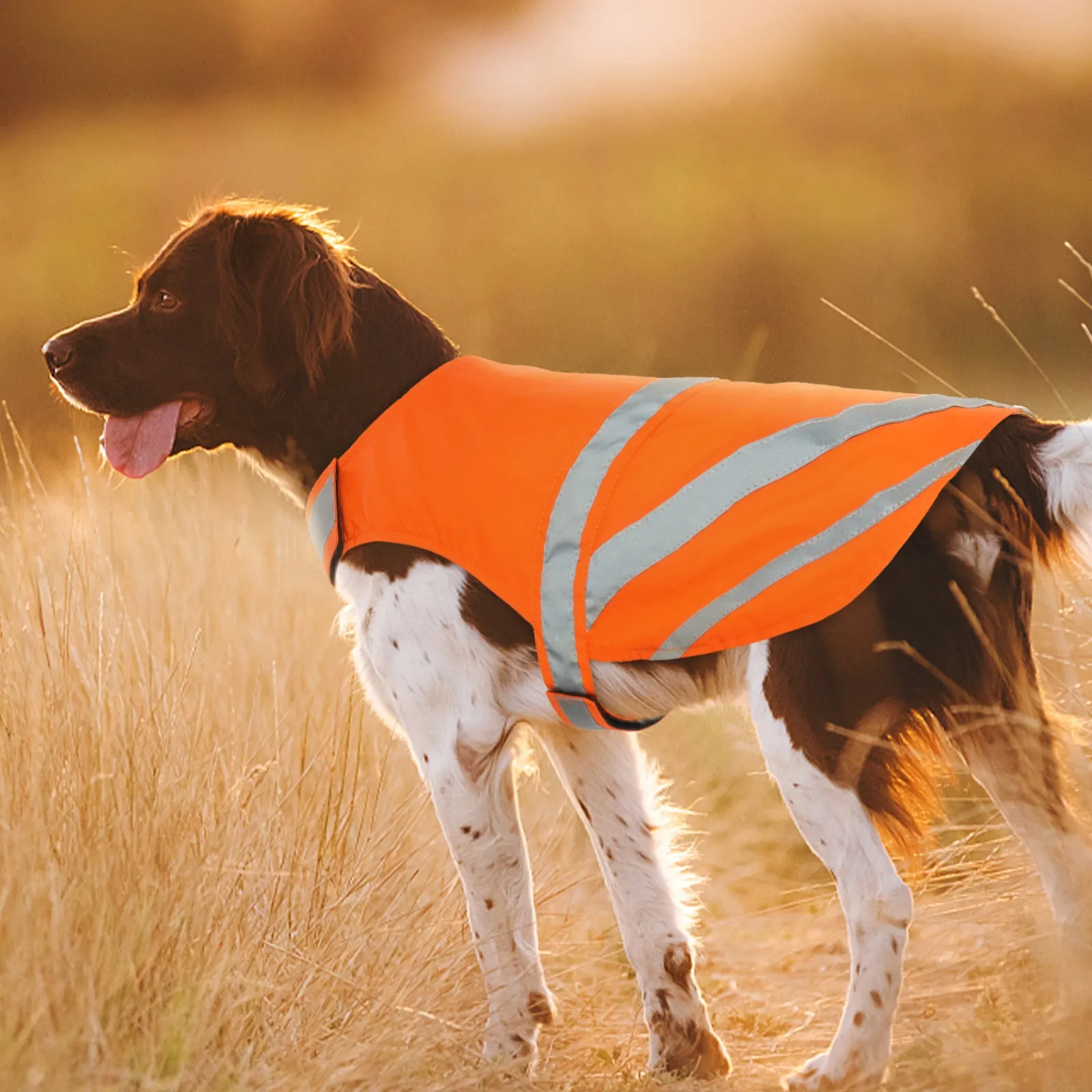Reflective Dog Vest, High Visibility Dog Safety Vest