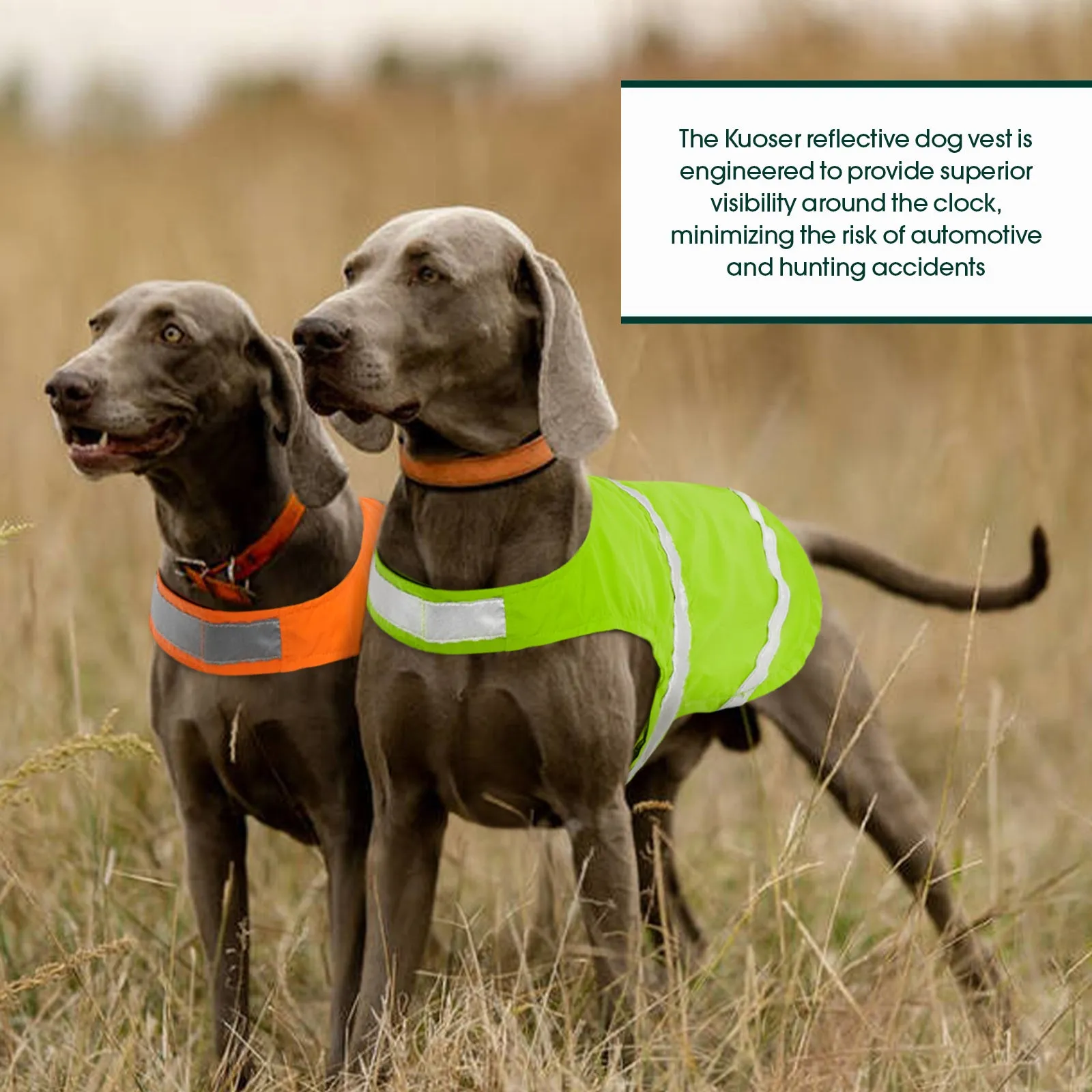 Reflective Dog Vest, High Visibility Dog Safety Vest