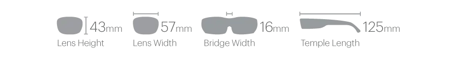 Smith Optics Longfin Matte Tortoise Frame Polarised Glass Brown Lens Performance Sunglasses