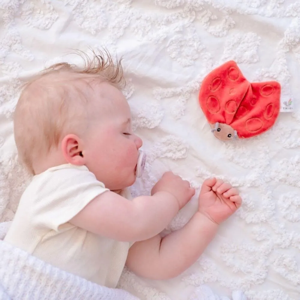 Tikiri Ladybug Scrunchie Toy