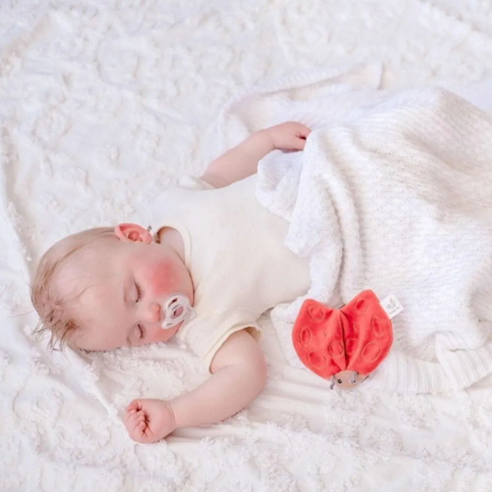 Tikiri Ladybug Scrunchie Toy