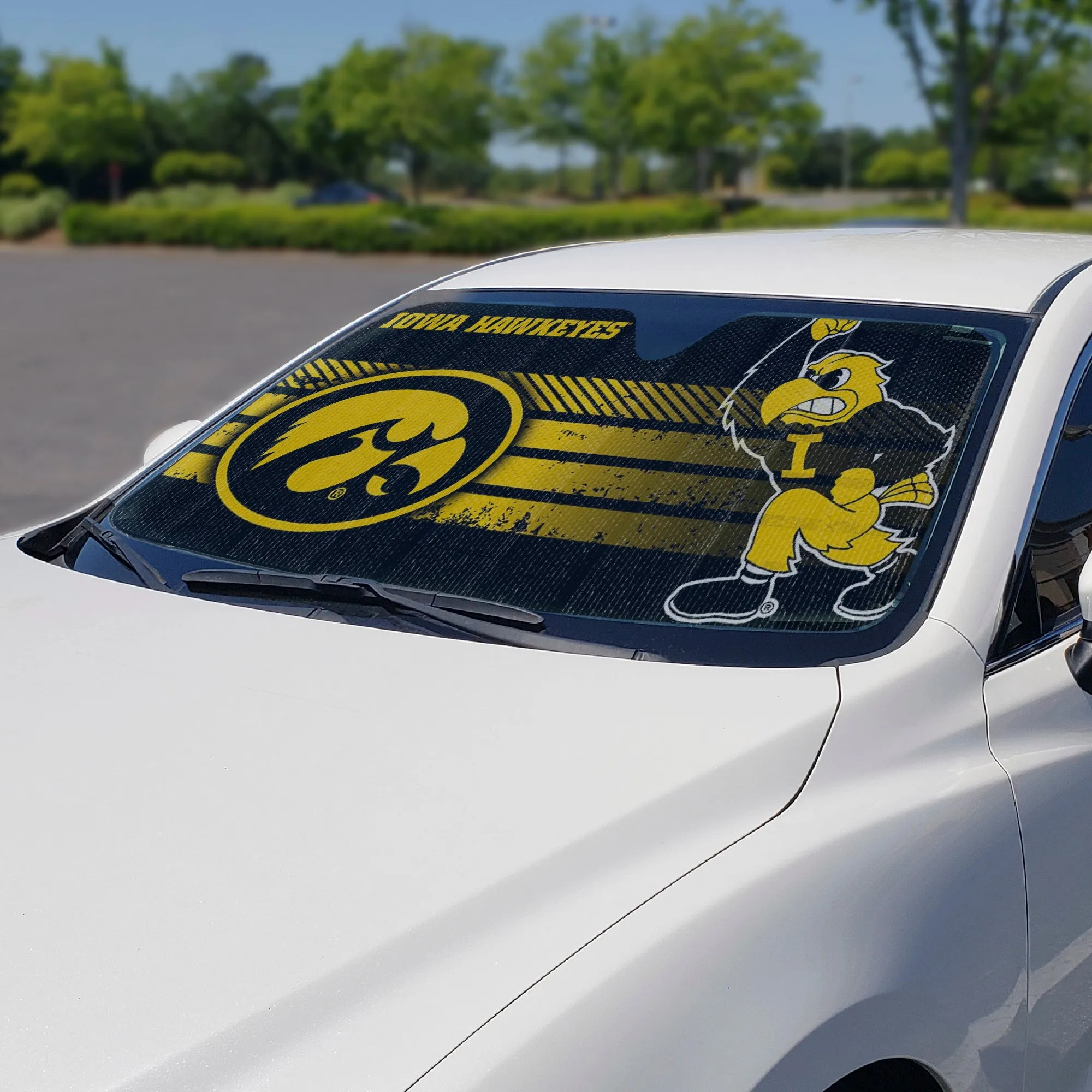 University of Iowa Auto Shade